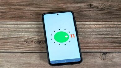 Authoritative Perspectives on APK Download Safety