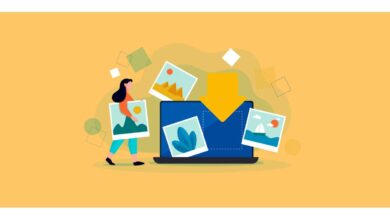 10+ Best Websites For Copyright Free Images