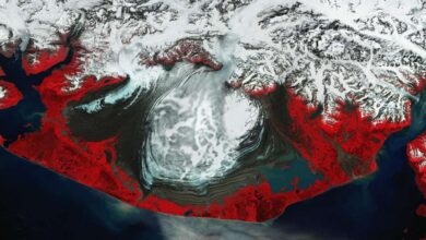 "Climate Change