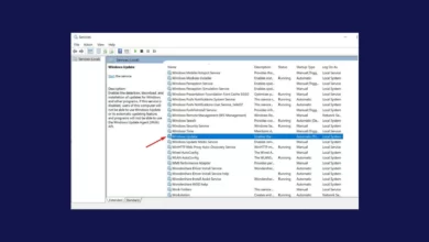 Fix Windows Modules Installer Worker High CPU Usage