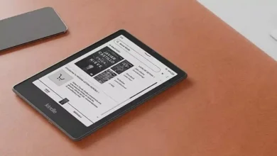 How To Stuff Your Kindle Day 2024