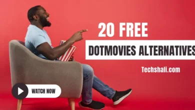 DotMovies: 20 Free Similar Websites