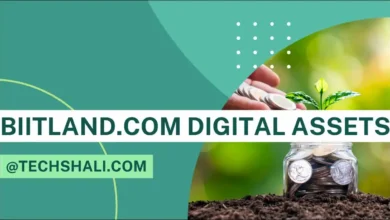 Biitland.com Digital Assets