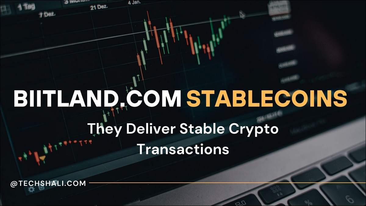 Biitland.com Stablecoins