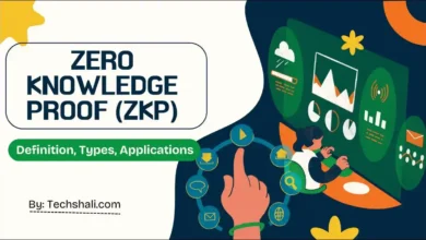 Definition of Zero Knowledge Proof (ZKP), Types, and Applications Explained
