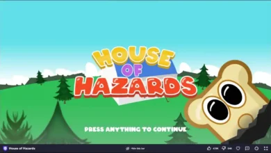 Essential Tips to master House of Hazards game