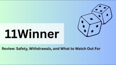 11Winner safety guide
