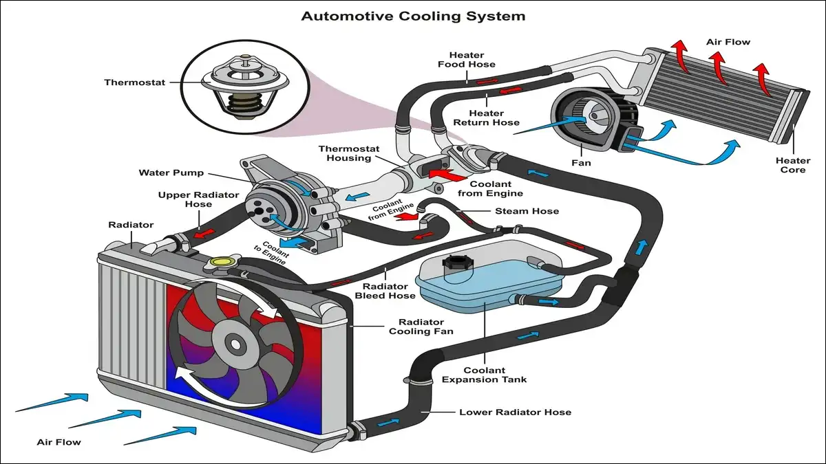 Automotive Cooling and Thermal Management