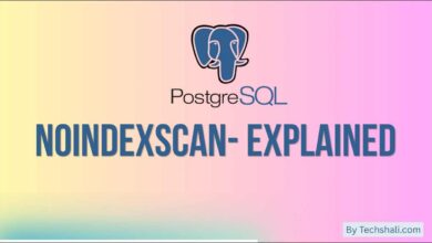 NoIndexScan Explained