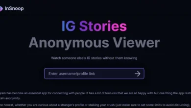 InSnoop works for many public Instagram stories anonymously in 2026, though results vary. Full test, safety tips, pros/cons, and top alternatives included.