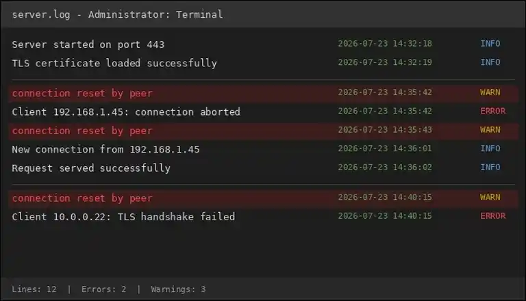 Server log entry showing connection reset by peer error for ERR_CONNECTION_RESET diagnosis
